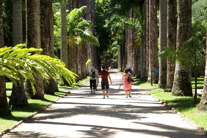 Rio de Janeiro Botanical Garden Tour - Who Should Choose This Tour, and Who Might Skip It