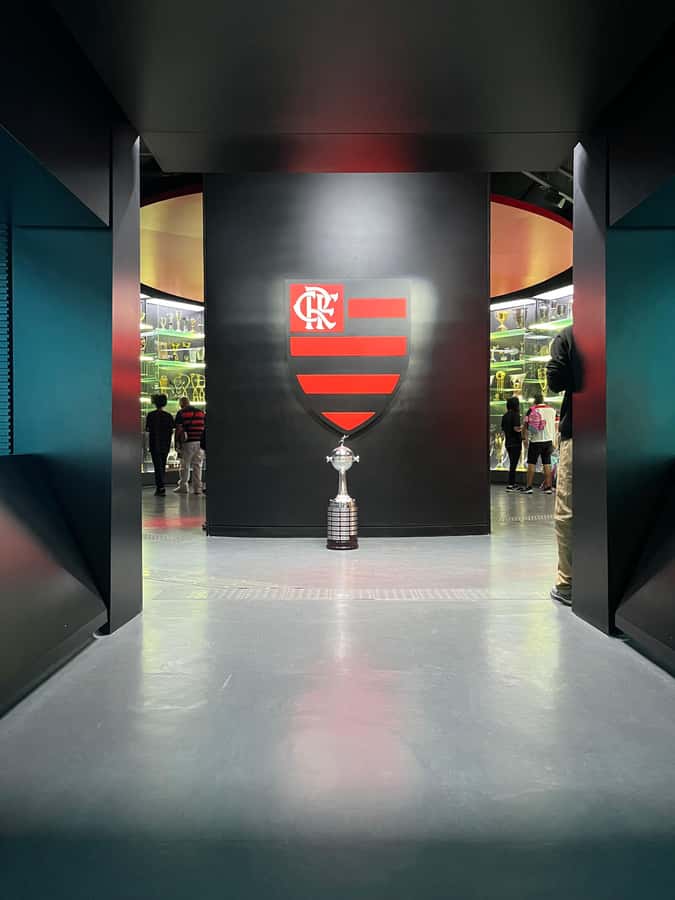 Rio de Janeiro: Flamengo Museum Ticket Entrance - Key highlights