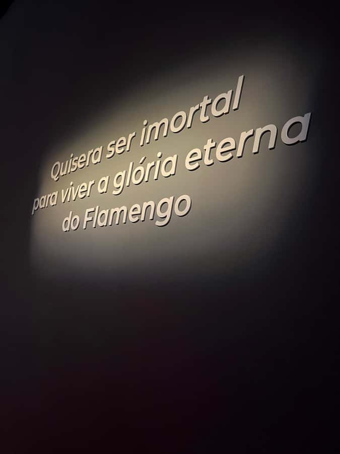 Rio de Janeiro: Flamengo Museum Ticket Entrance - Where the Flamengo Museum is, and why Gávea matters