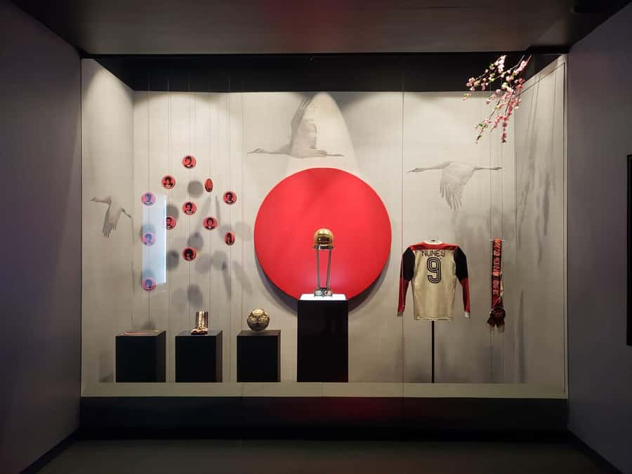Rio de Janeiro: Flamengo Museum Ticket Entrance - Trophy room on four floors: what to focus on