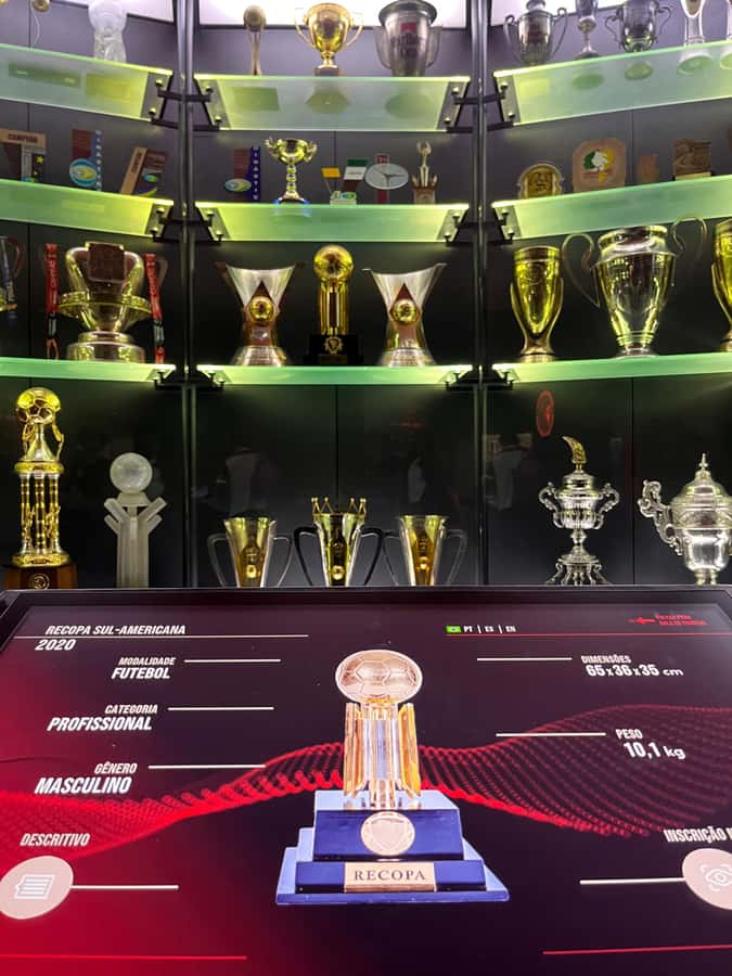 Rio de Janeiro: Flamengo Museum Ticket Entrance - Sports idols and preserved collections: why it goes beyond football