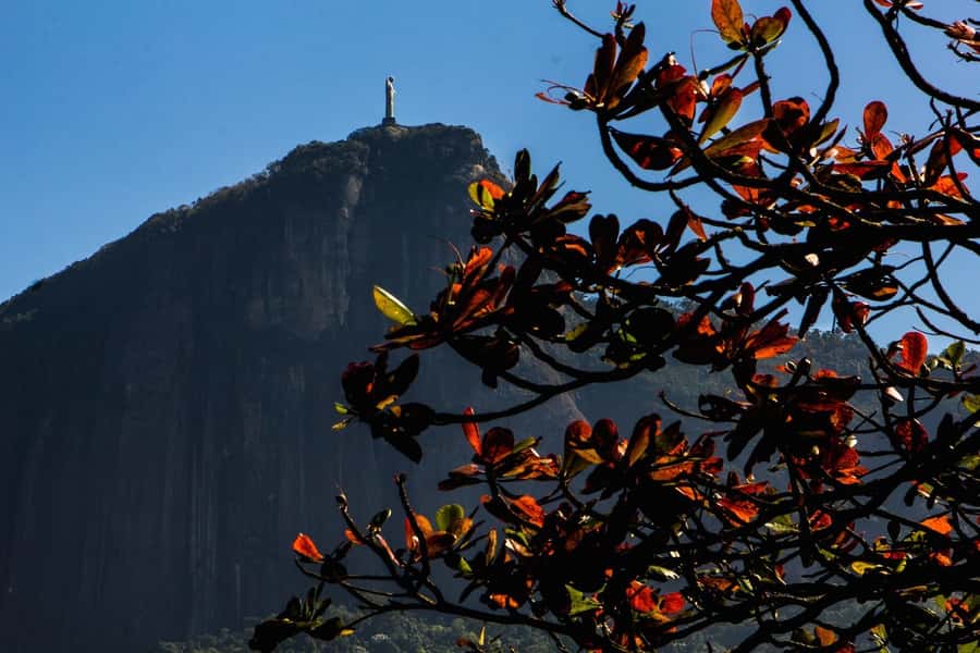 Rio de Janeiro: Guided Bike Tours in Small Groups - Key things that make this Rio bike tour worth your time