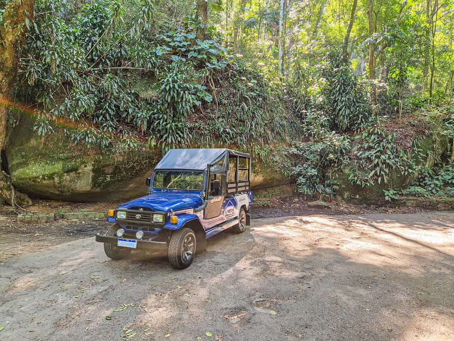 Rio de Janeiro: Guided Jeep Tour through Tijuca Rainforest - Price and value at about $90 per person