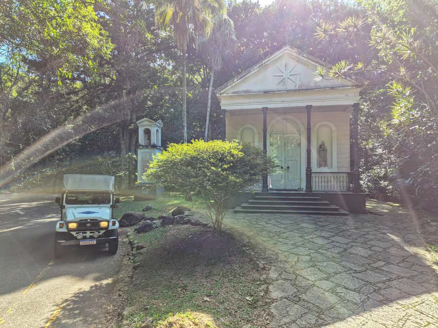Rio de Janeiro: Guided Jeep Tour through Tijuca Rainforest - Why Tijuca Rainforest is different from any other Rio nature day