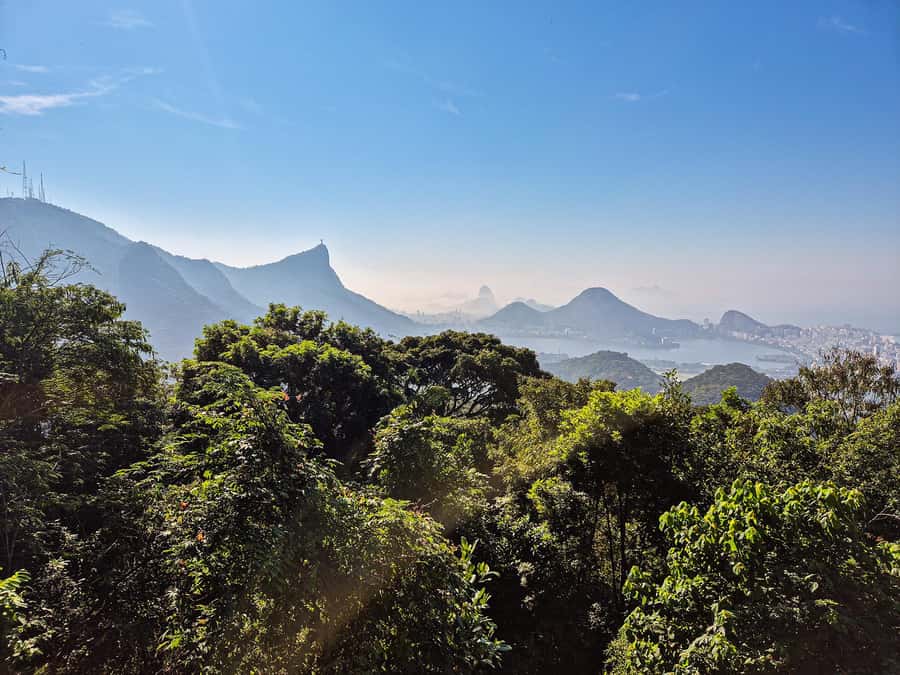 Rio de Janeiro: Guided Jeep Tour through Tijuca Rainforest - Vista Chinesa and the reforestation story behind the views