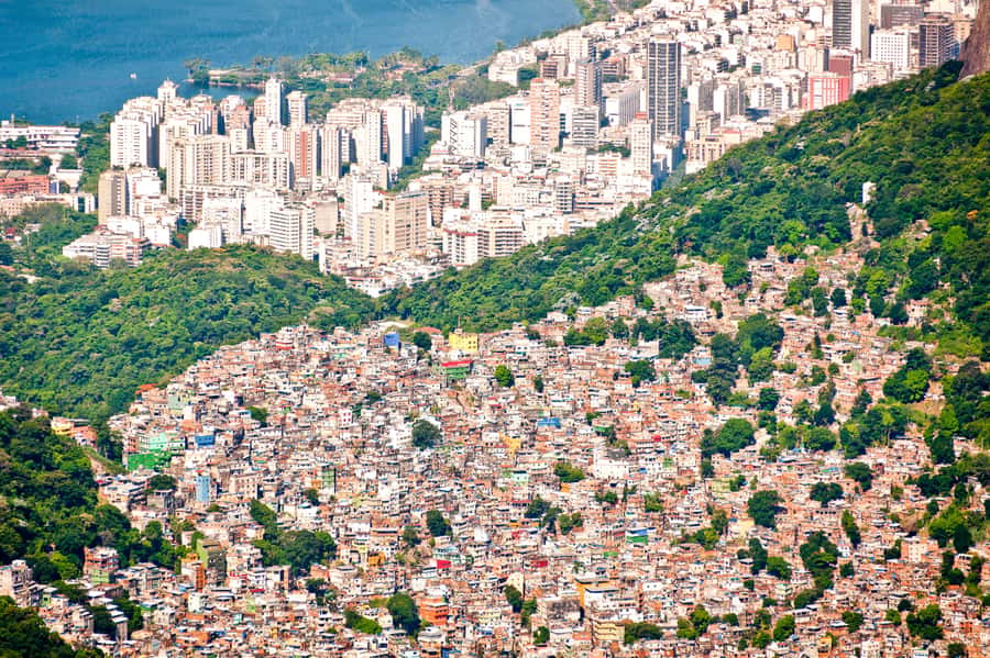 Rio De Janeiro: Half-Day Rocinha Favela Walking Tour - Key things I’d plan around