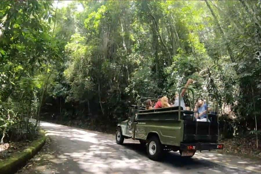Rio de Janeiro: Jeep Tour Christ the Redeemer + Sugar Loaf - Price and value: why $155 can be fair for what you get