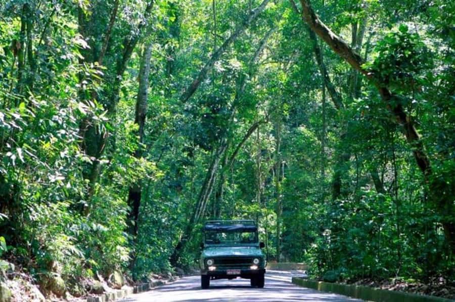 Rio de Janeiro: Jeep Tour Christ the Redeemer + Sugar Loaf - Riding an open 4x4 Jeep through the Tijuca Forest area