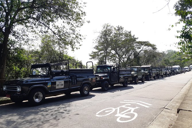Rio de Janeiro - Jeep Tour Corcovado, Forest and Santa Teresa - Parque das Ruínas: A Short Cultural Break With Included Admission