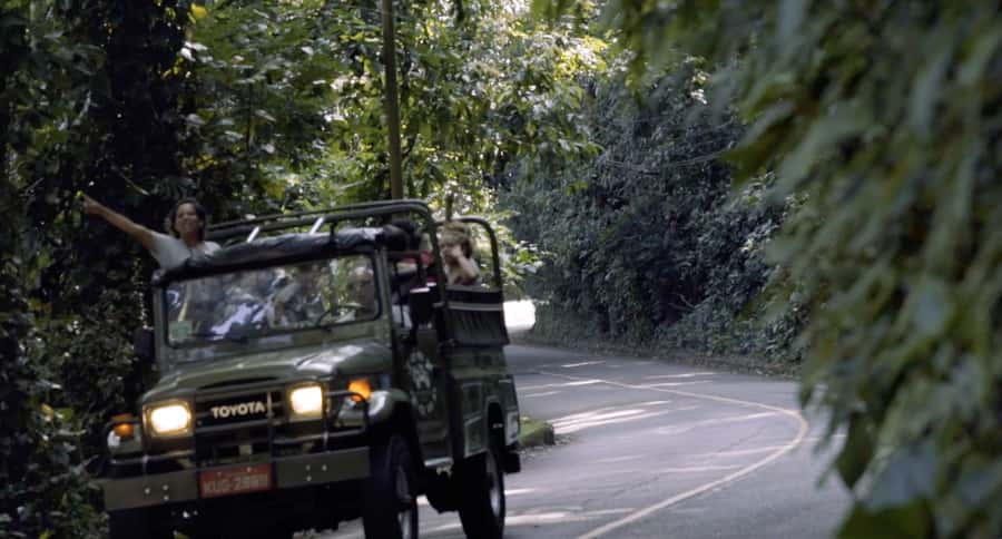 Rio de Janeiro: Jeep Tour in the Tijuca Forest - Into Tijuca National Park, without a marathon hike