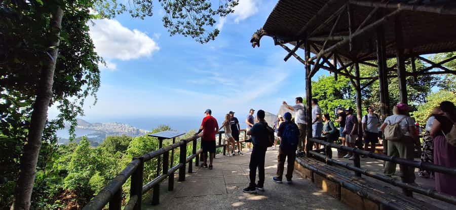 Rio de Janeiro: Jeep Tour in the Tijuca Forest - The 4-hour rhythm: pickup to park stops