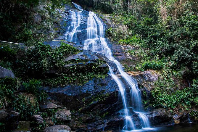 Rio de Janeiro Jeep Tour : Tijuca Forest - Floresta da Tijuca and the light hike to Cachoeira dos Macacos