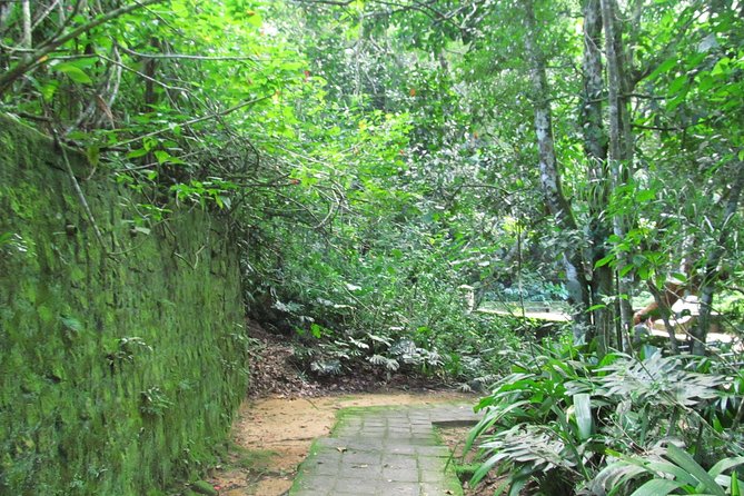 Rio de Janeiro: Jeep Tour to Tijuca Forest - Key Highlights You Should Know Before You Go
