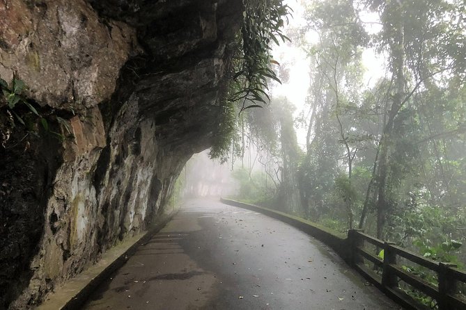 Rio de Janeiro: Jeep Tour to Tijuca Forest - Getting Started at 7:00 am: Pickup, Small Group, and a Mobile Ticket