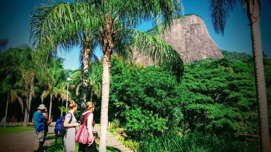 Rio de Janeiro Nature Secrets 'The Eco Citytour' - Key highlights you will feel during this Eco Citytour