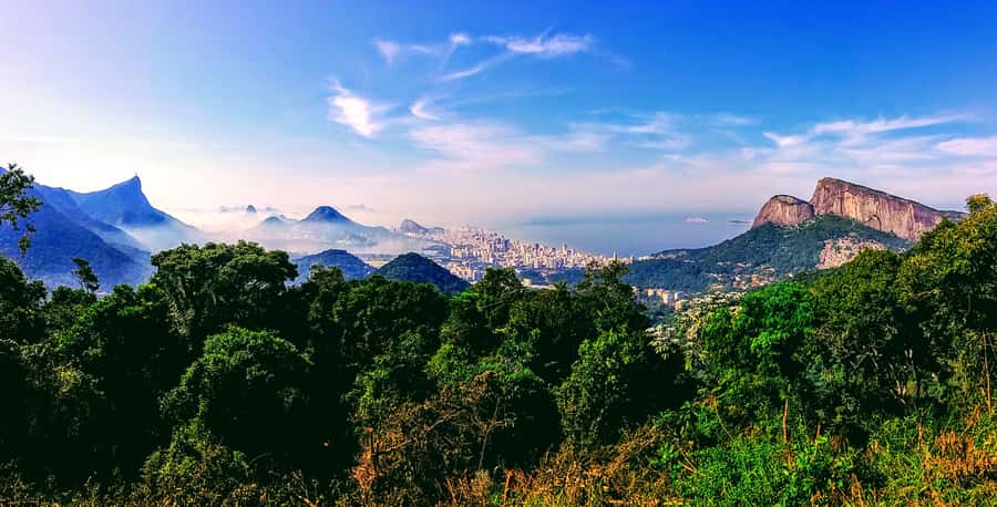 Rio de Janeiro Nature Secrets 'The Eco Citytour' - Price and logistics: what $69 covers and what you should plan for yourself