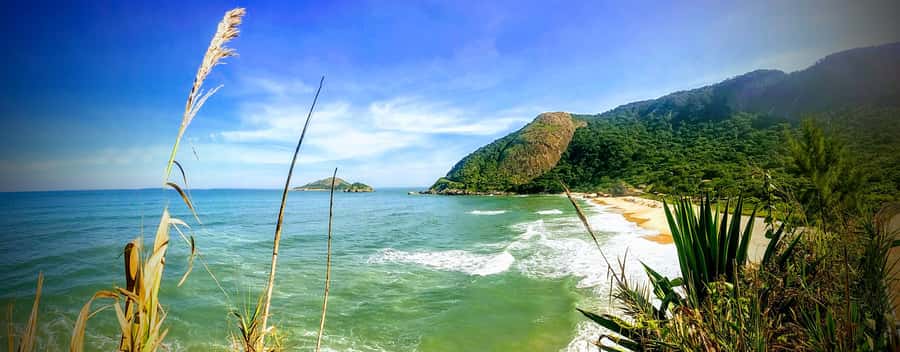 Rio de Janeiro Nature Secrets 'The Eco Citytour' - Why this 9-hour Eco Citytour works if you want nature without tough hiking