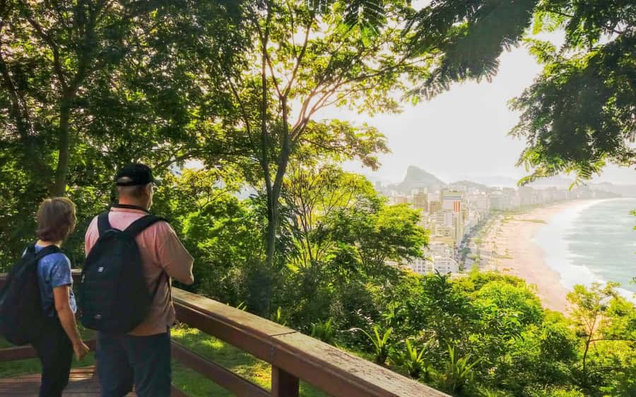 Rio de Janeiro Nature Secrets 'The Eco Citytour' - Marapendi mangrove and lagoon park: the best wildlife odds in an easy day