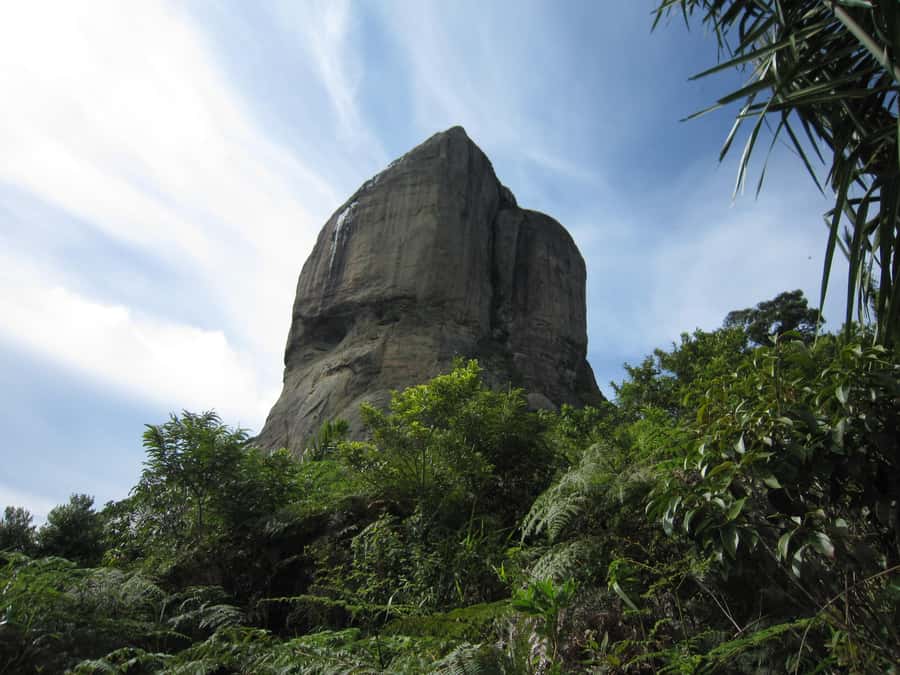 Rio de Janeiro: Pedra da Gavea Adventure Hike - The Tijuca Forest Ascent, Where You Earn the View