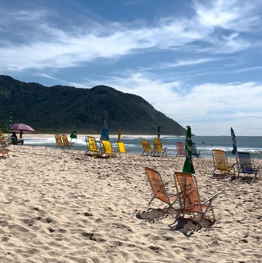 Rio de Janeiro: Pedra do Telégrafo trail and beach stop - The 2 km forest trail: what to expect and how to pace it