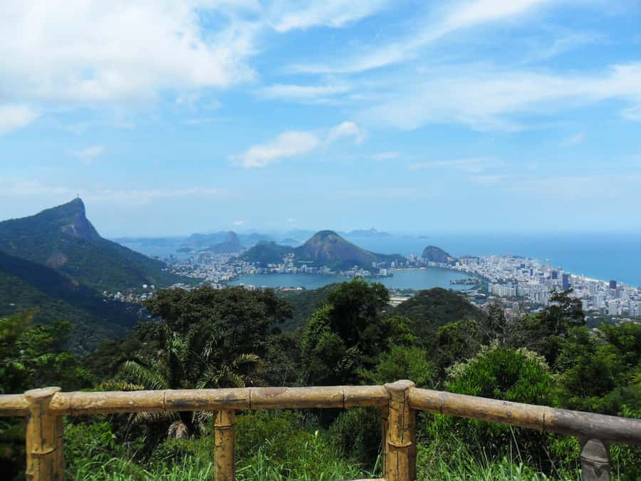 Rio de Janeiro: Pico da Tijuca Hiking Tour - Should you book the Rio Pico da Tijuca hiking tour?