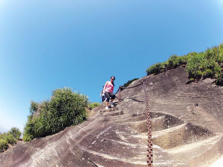 Rio de Janeiro: Pico da Tijuca Hiking Tour - Pico da Tijuca and Tijuca Forest, the view that makes the hike make sense