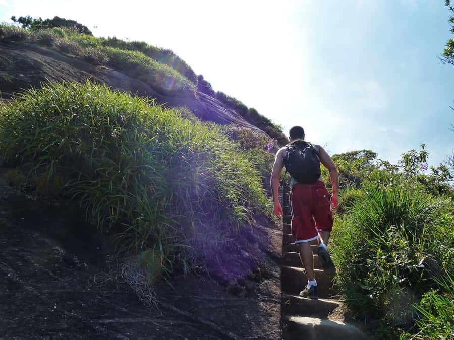 Rio de Janeiro: Pico da Tijuca Hiking Tour - Bom Retiro trail: what “moderate” looks like in real time