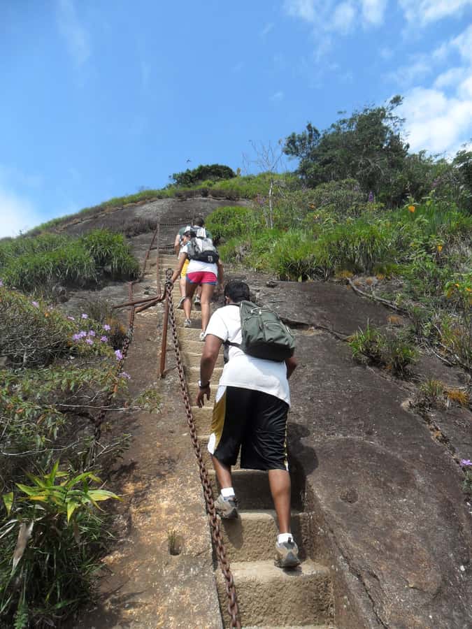 Rio de Janeiro: Pico da Tijuca Hiking Tour - What’s included, what’s missing, and how to pack smart