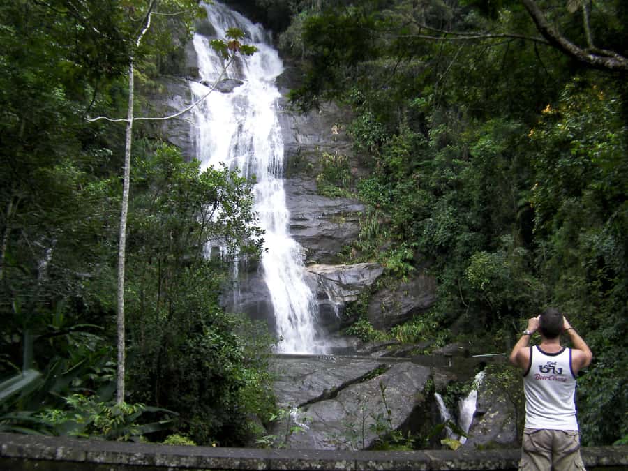 Rio de Janeiro: Pico da Tijuca Hiking Tour - Price and value: what $103 gets you in this part of Rio