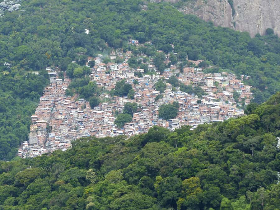 Rio de Janeiro: Private Day Tour with lunch - Key highlights of this Rio private day
