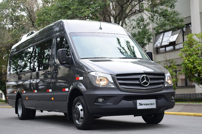Rio de Janeiro: Private Minivan Transfer To/From Airport - Timing rules for international and domestic flights