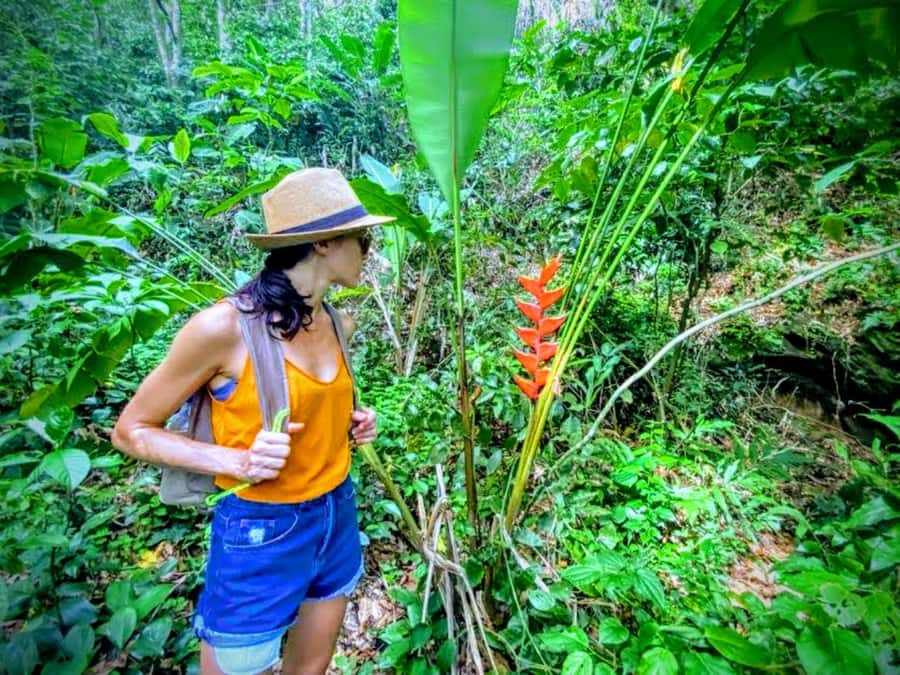 Rio de Janeiro Secluded Beaches: Hike+Swim Prainha & Grumari - Key Highlights You Should Care About