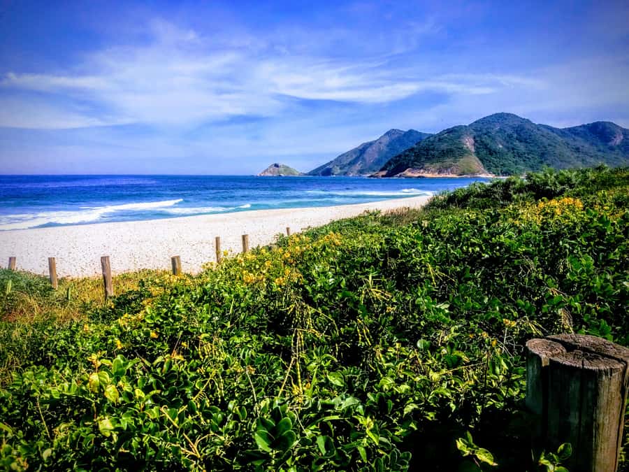 Rio de Janeiro Secluded Beaches: Hike+Swim Prainha & Grumari - Grumari Beach: The Unhurried Finale with Clear Water and White Sand