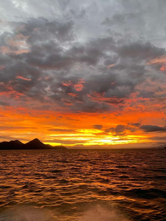 Rio de Janeiro: SpeedBoat Tour - Sunset with Beer - Niterói Contemporary Art Museum: a cross-bay perspective