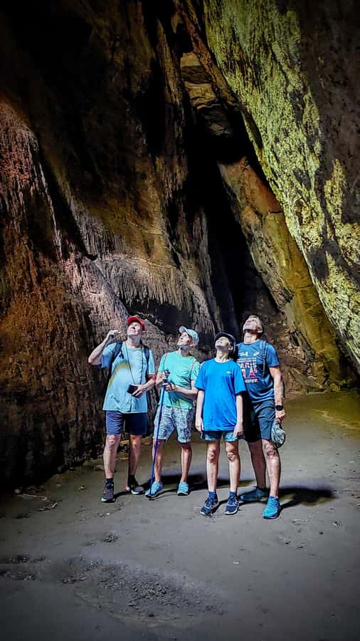 Rio de Janeiro: Tijuca Forest Challenge Hike Full-Day Trip - Tijuca Forest in Rio, the kind of hike you plan for