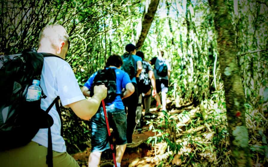 Rio de Janeiro: Tijuca Forest Challenge Hike Full-Day Trip - FAQ