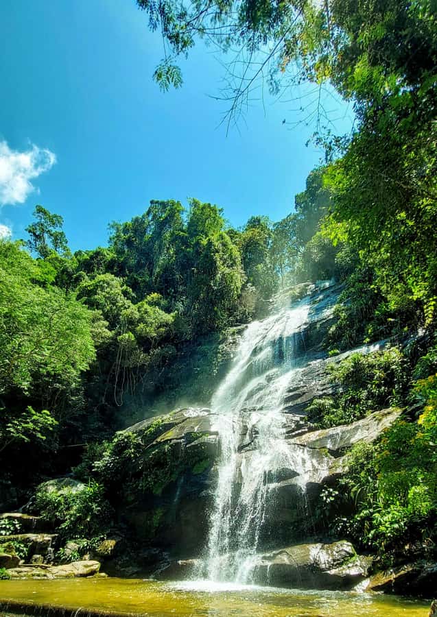 Rio de Janeiro: Tijuca Forest Challenge Hike Full-Day Trip - Small group size, bilingual guides, and how to pace yourself