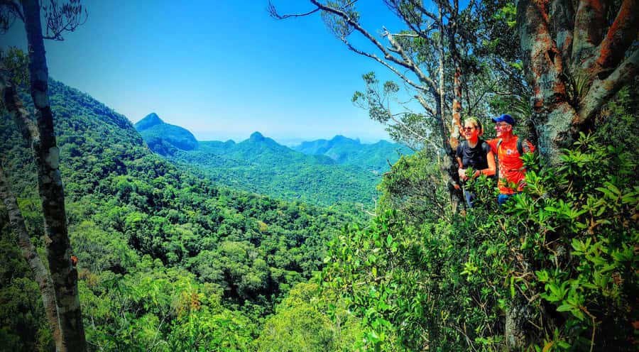 Rio de Janeiro: Tijuca Forest Challenge Hike Full-Day Trip - Price value at $86, what you get for your money