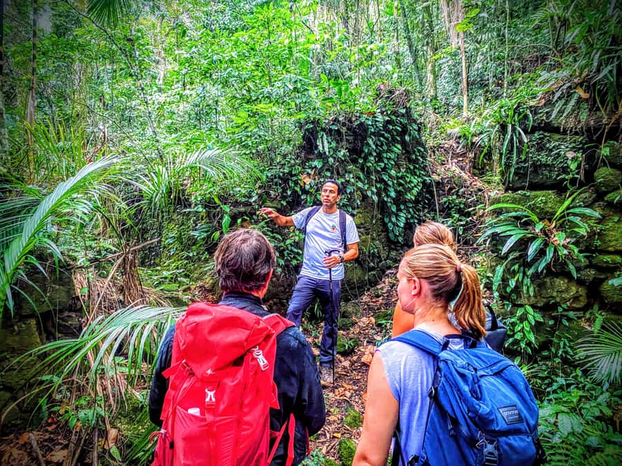 Rio de Janeiro: Tijuca Forest Challenge Hike Full-Day Trip - Should you book the Tijuca Forest Challenge Hike?