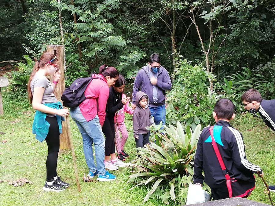 Rio de Janeiro: Tijuca Forest Waterfall of Souls Hike - Key things to know before you go