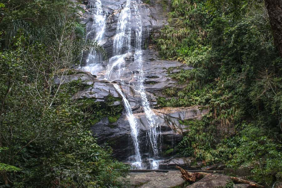 Rio de Janeiro: Tijuca Forest Waterfall of Souls Hike - Where this Tijuca Forest hike actually happens (and why it matters)