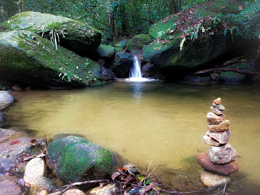 Rio de Janeiro: Tijuca Forest Waterfall of Souls Hike - The big view of Cascata Taunay: seeing Rio’s rainforest side