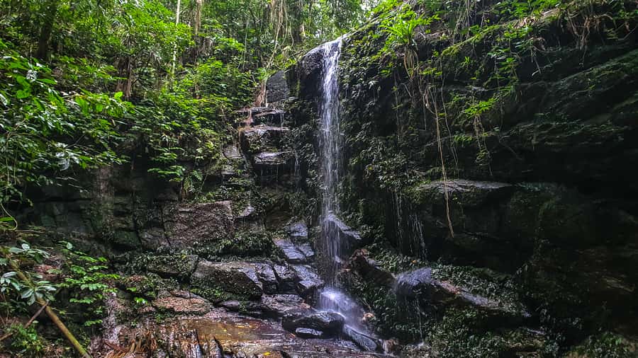 Rio de Janeiro: Tijuca Forest Waterfall of Souls Hike - Meeting at Estr. da Cascatinha, 300, and how the trailhead works