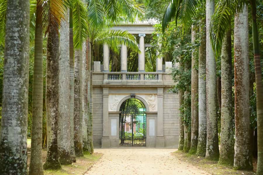 Rio de Janeiro: Tijuca National Park & Botanic Garden Tour - Key highlights you should know before you go