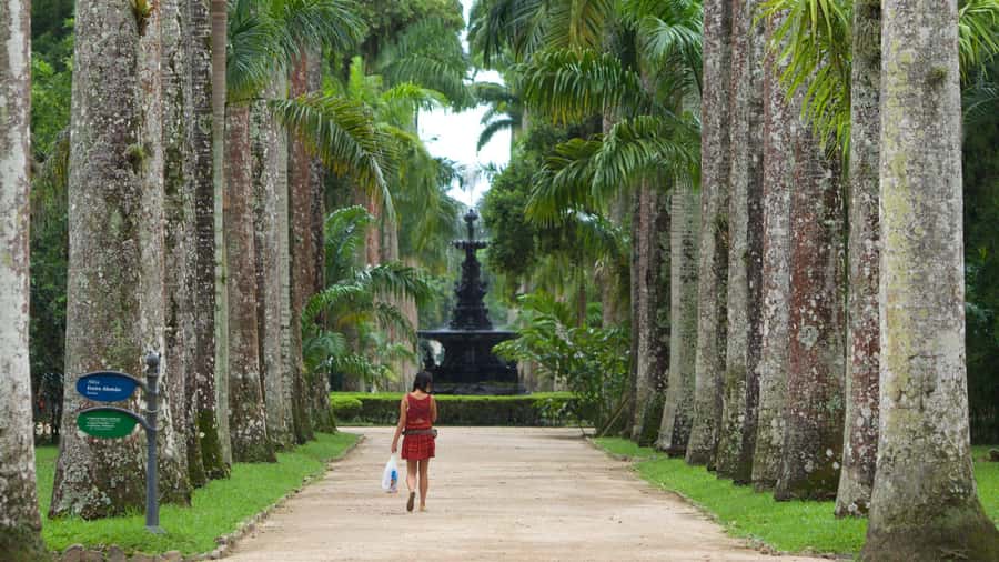 Rio de Janeiro: Tijuca National Park & Botanic Garden Tour - Who should book this tour, and who might want something else