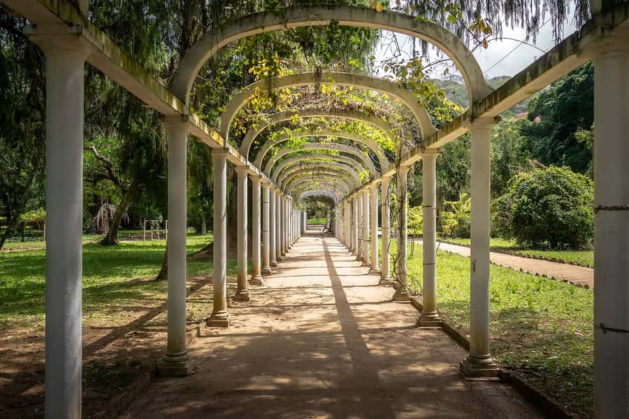 Rio de Janeiro: Tijuca National Park & Botanic Garden Tour - Half-day Rio nature, without the “tour bus loop”