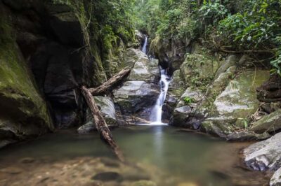 Tijuca National Park & Botanic Garden Tour