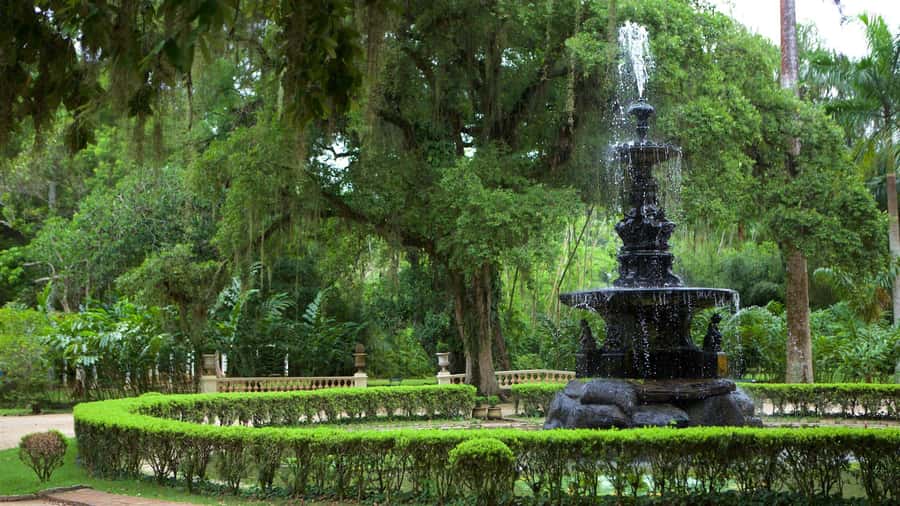 Rio de Janeiro: Tijuca National Park & Botanic Garden Tour - Mayrink Chapel and wildlife etiquette (the part people skip)