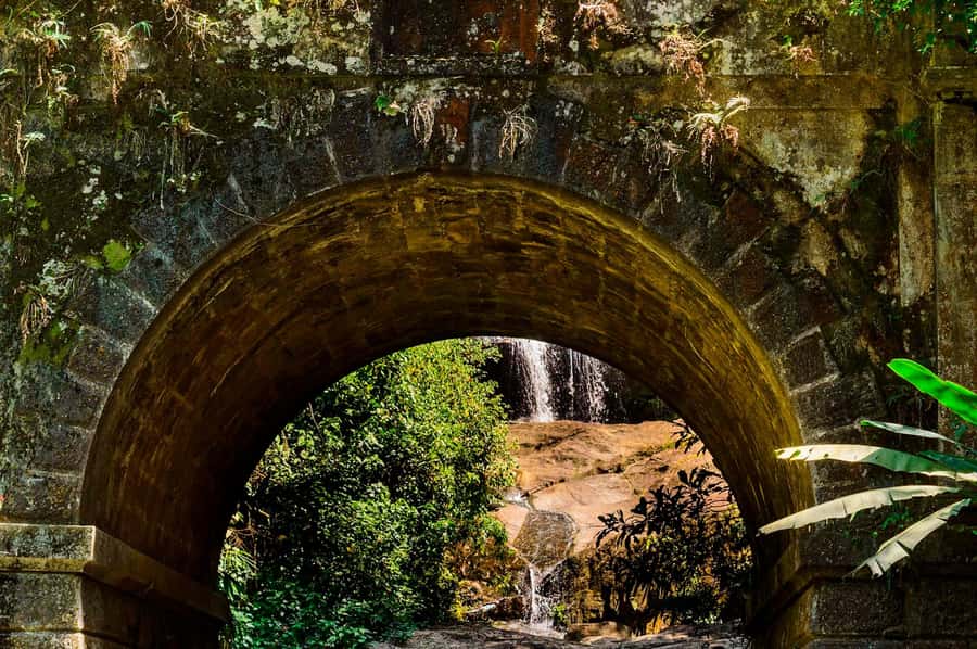 Rio de Janeiro: Tijuca National Park & Botanic Garden Tour - Botanical Garden: 7,000+ species in a calm, guided pace