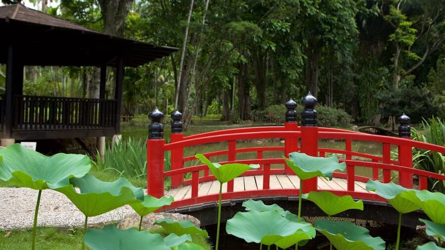 Rio de Janeiro: Tijuca National Park & Botanic Garden Tour - What to bring for a comfortable rainforest half-day